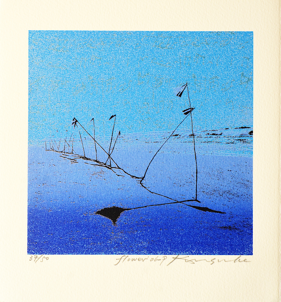 Flower '6-p