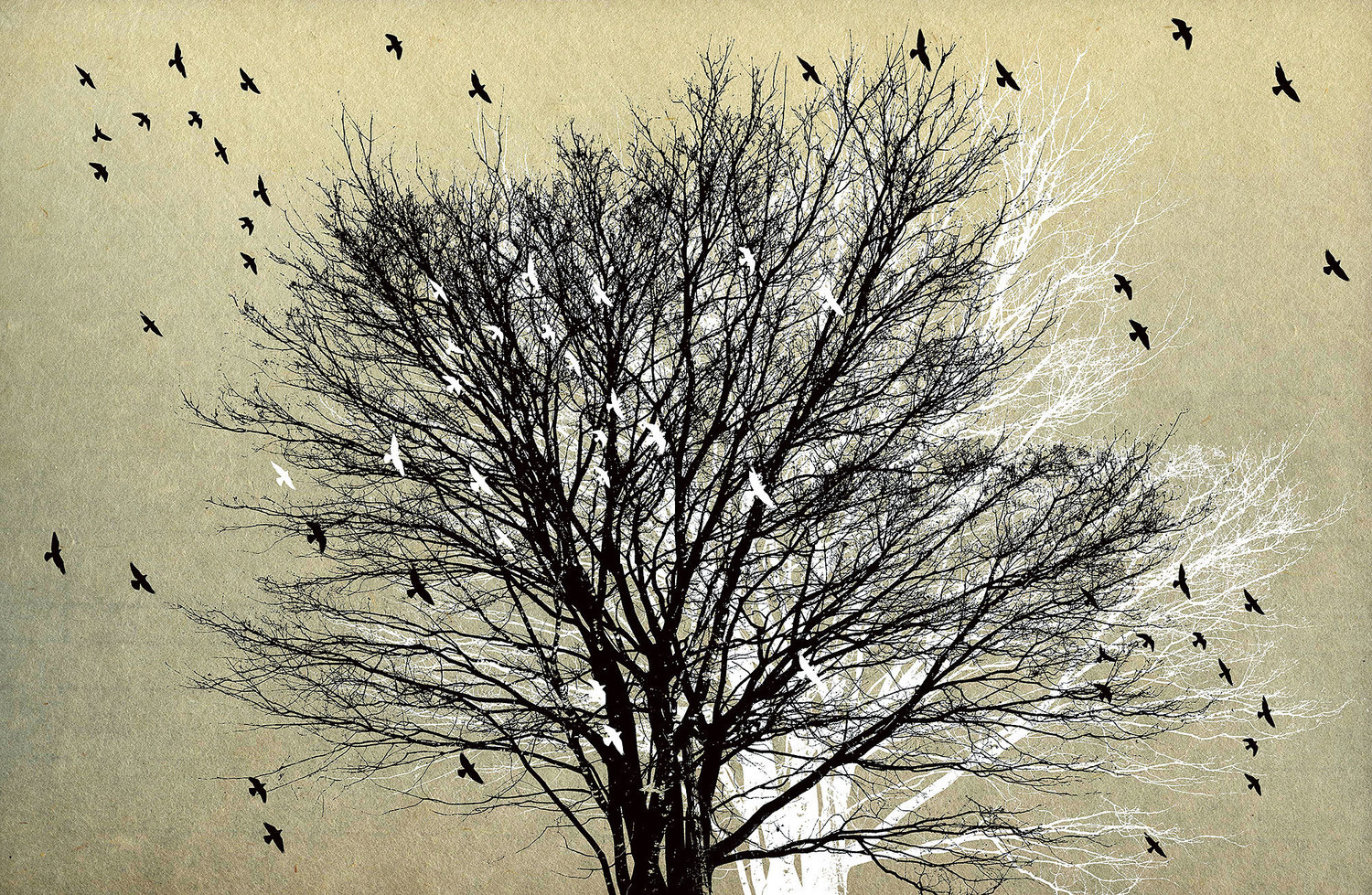 Song of Tree and Birds #1