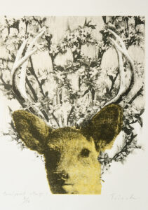 [Munchausen's Deer]
