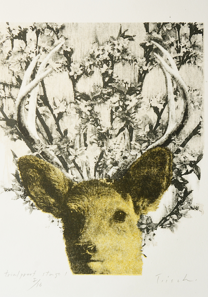 [Munchausen's Deer]
