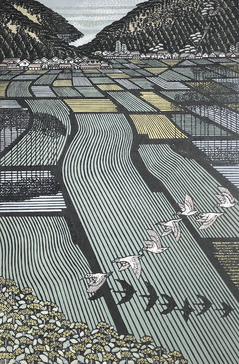 Rice field of Nipponia nippon