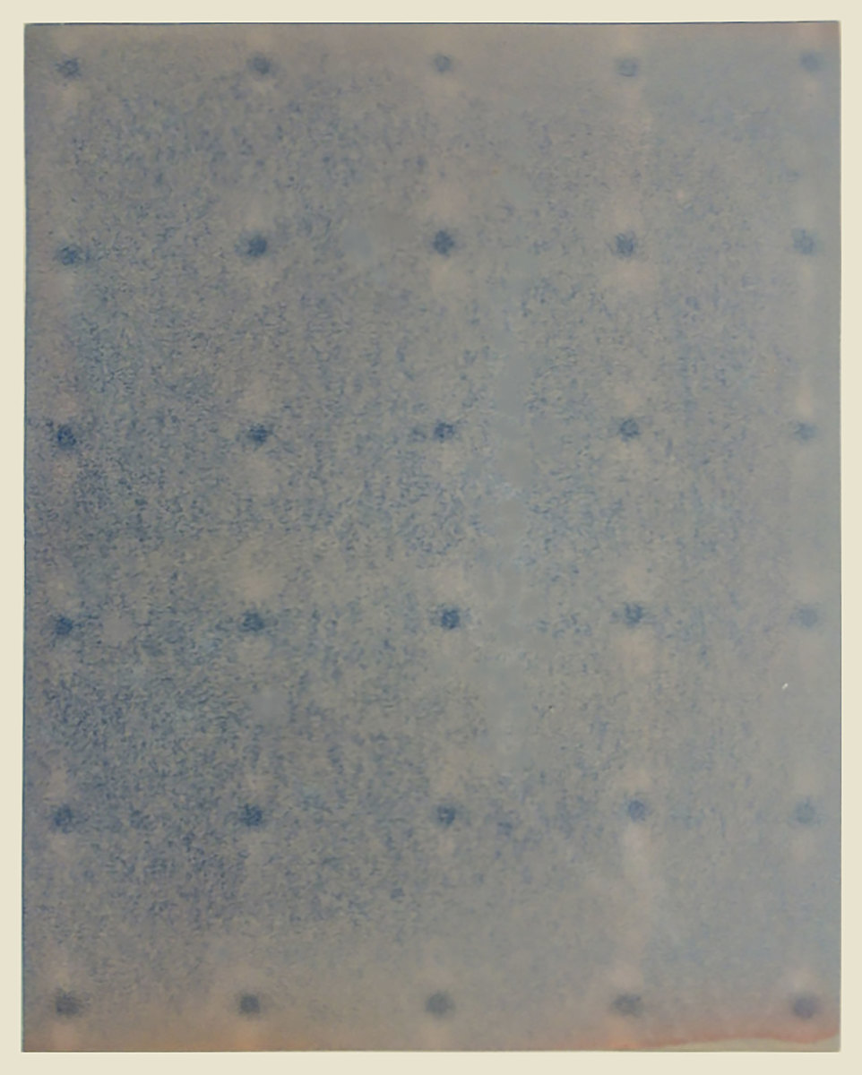 FIELD OF WATER #021025