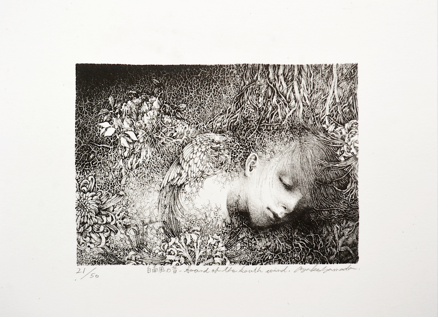 Sound of the South wind