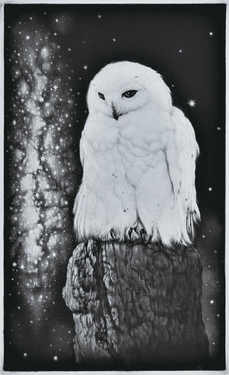 [Falls of Milky Way]