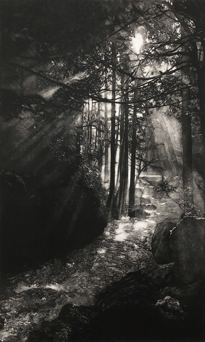 [Little Stream in the Woods]