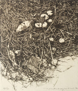 [Transition '98 - Ground - I]