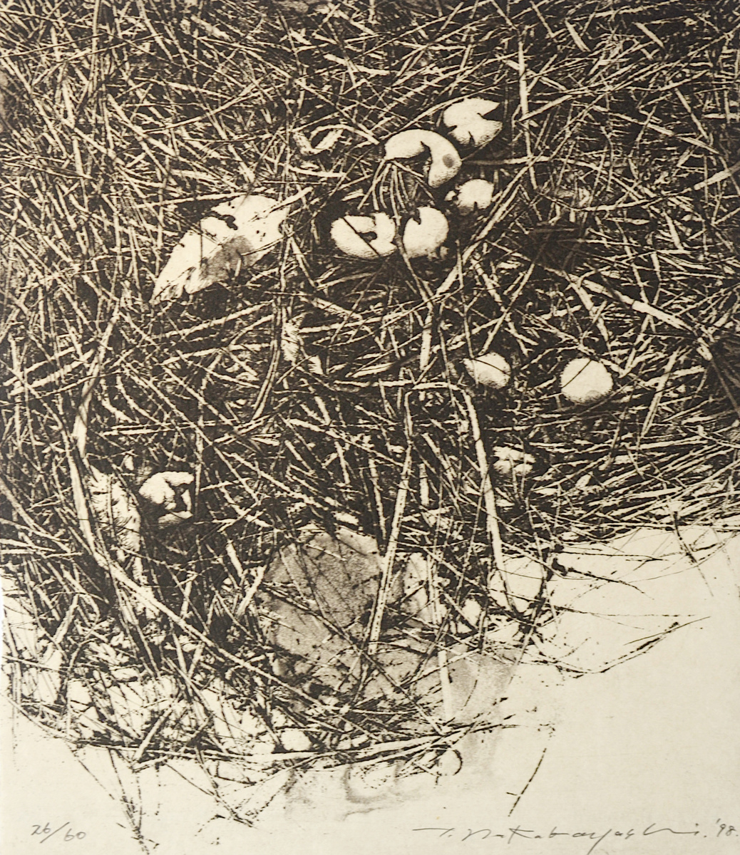 [Transition '98 - Ground - I]