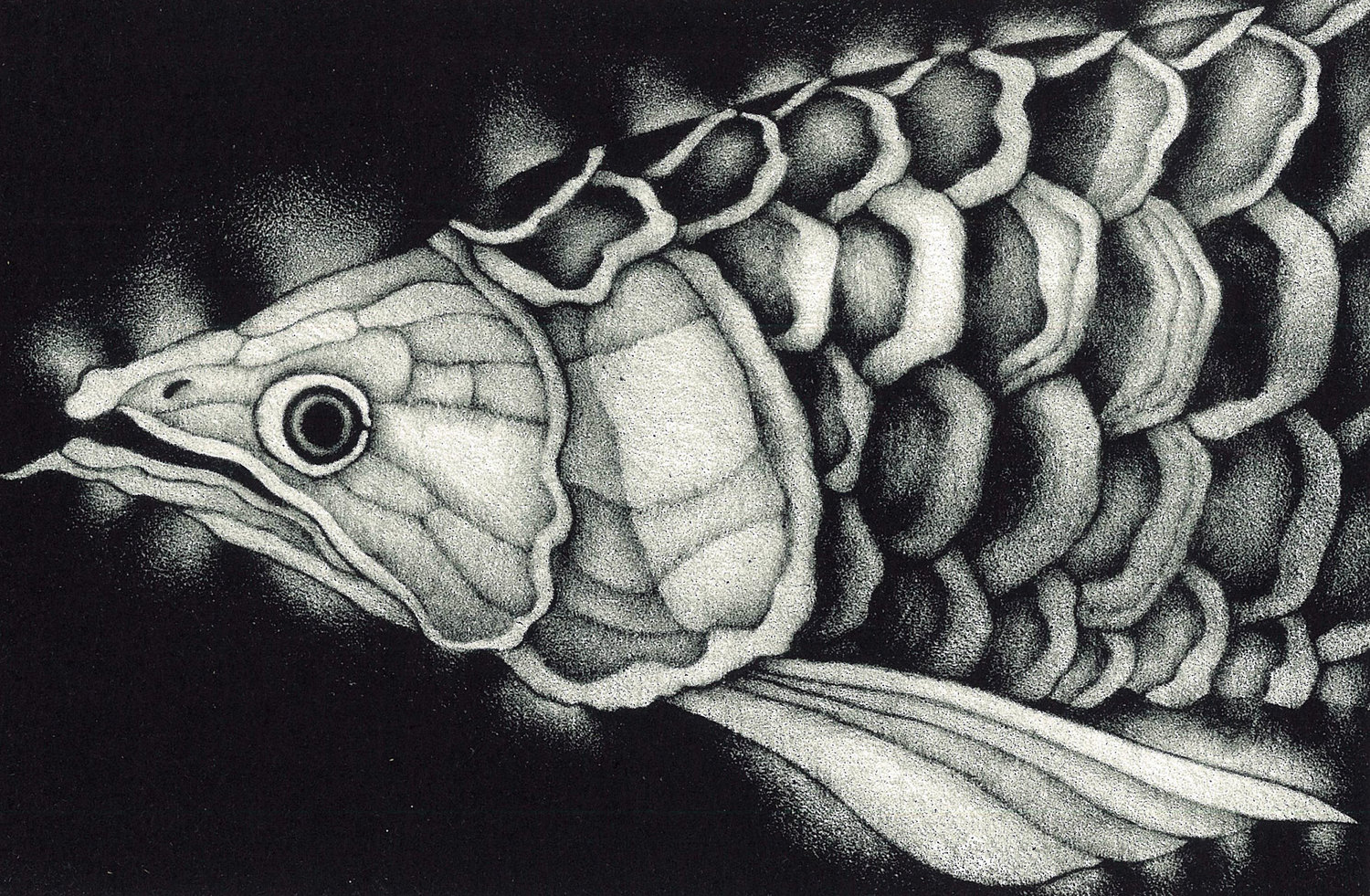 Glitter of the abyss #2