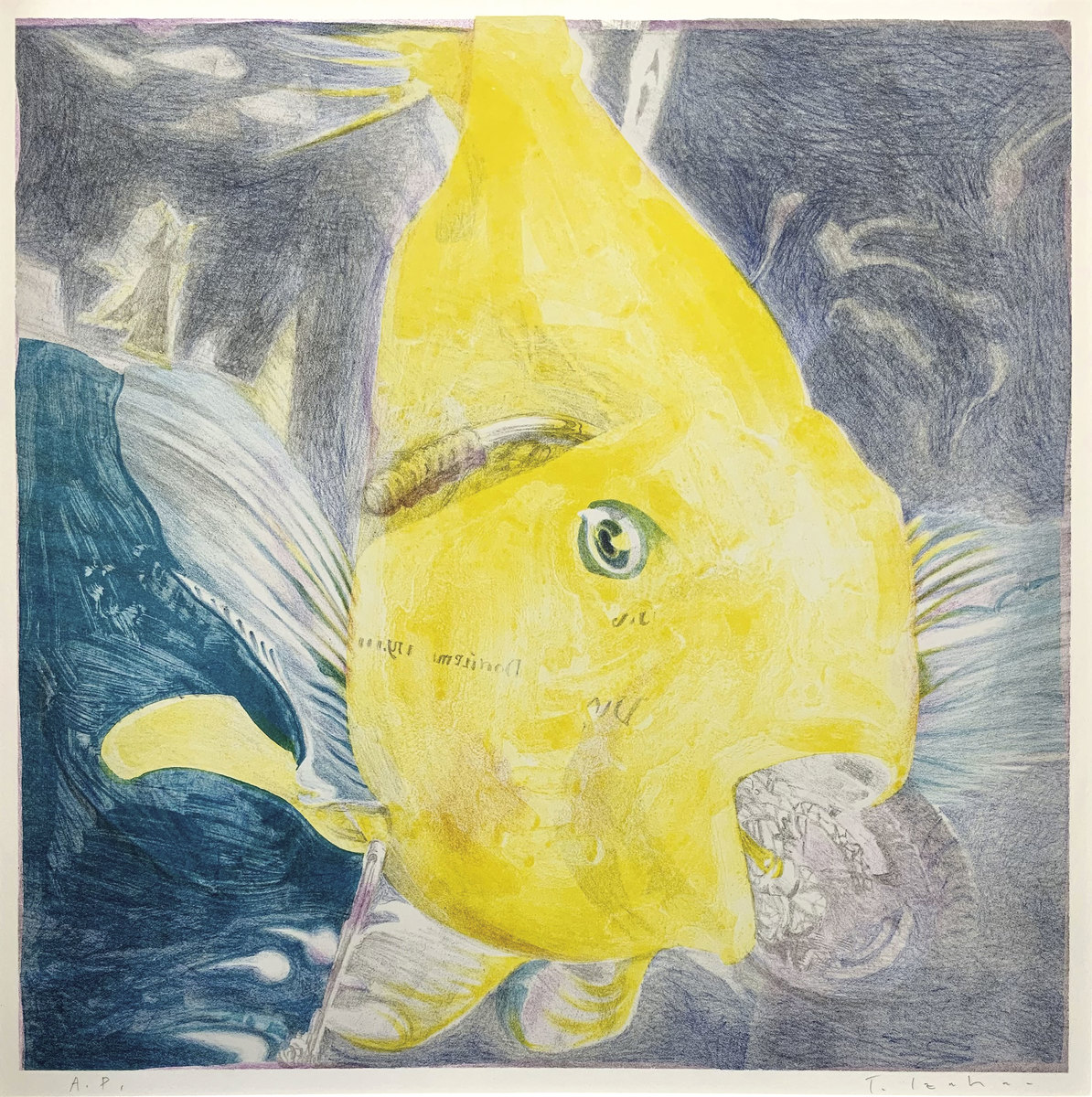 f4 Ducati '19 upgrade