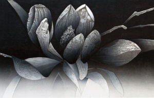 shape of the heart 19-C