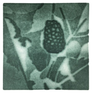 reflection 2021 - plant II