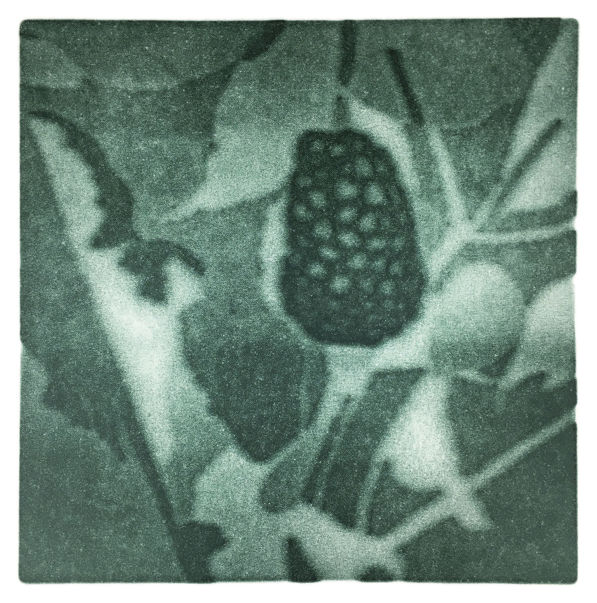 reflection 2021 - plant II