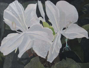 Ginger Lily 2021 - 1