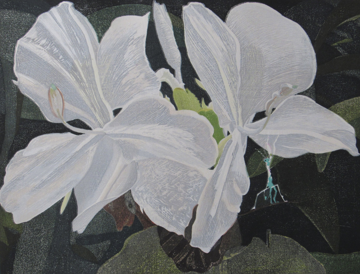 Ginger Lily 2021 - 1