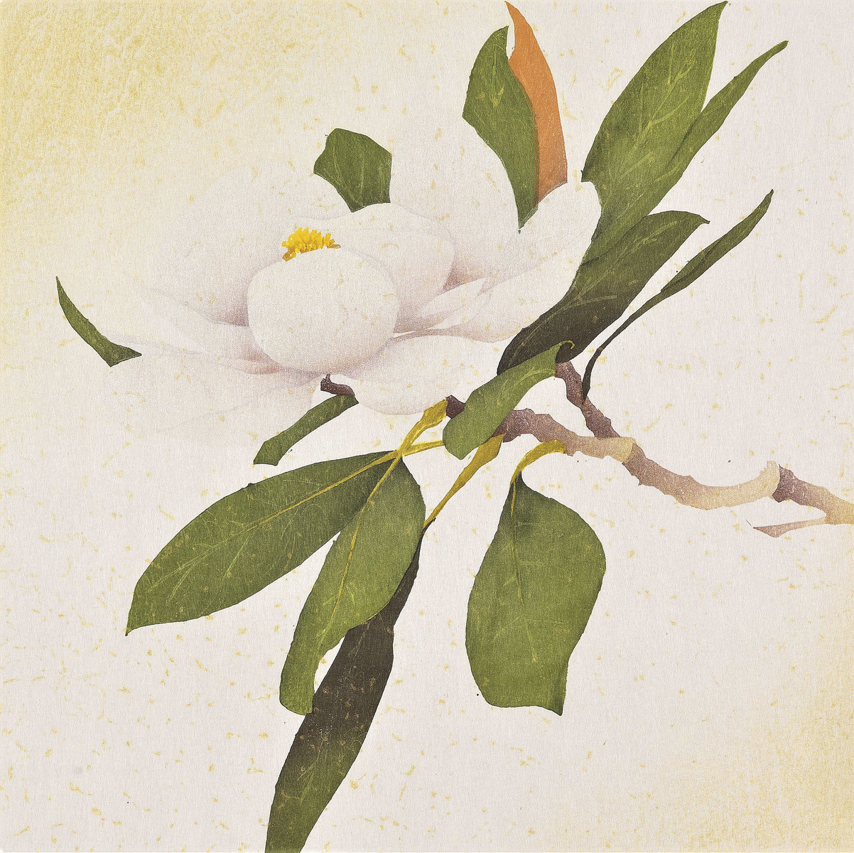 Magnolia - 3