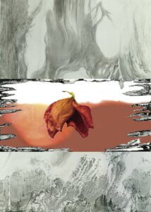 [PHYSIS - Source of Life]